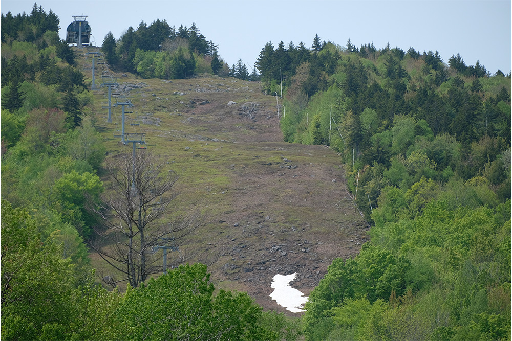 Last patch of Snow