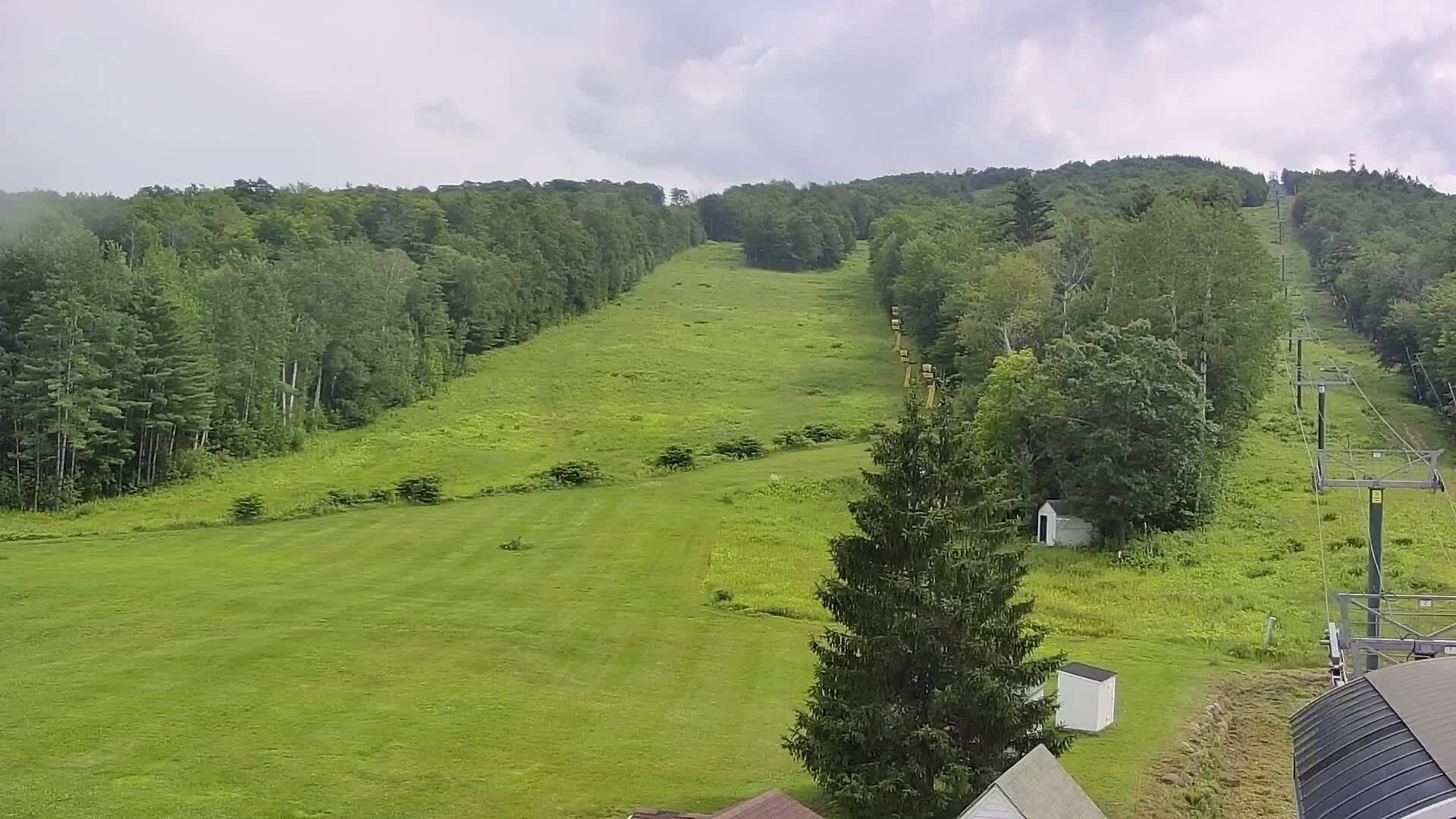 elmwoodlodge-cam-summer